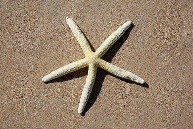 《使命召唤18》PC BETA测试 3080能稳定4K＆60FPS